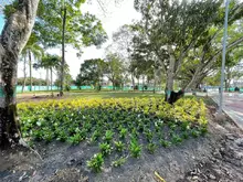 adecuaci&oacute;n del Parque de la Constituci&oacute;n3